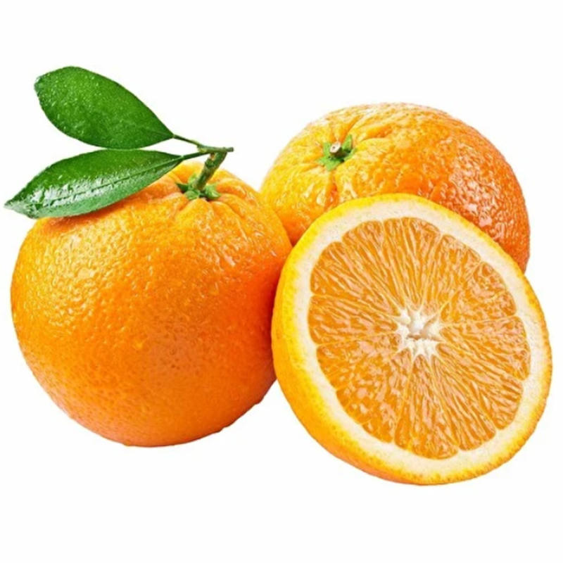 Finike Portakal 1 KG